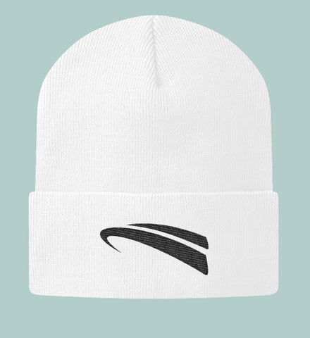 Paintrain Premium Beanie