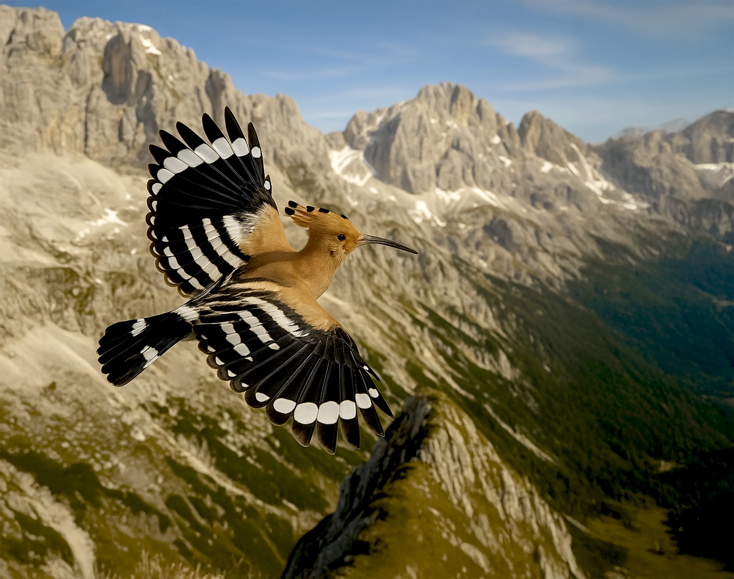 Abubilla Flug über die Alpen